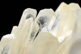 Colombian Quartz Crystal - Colombia #253267-4